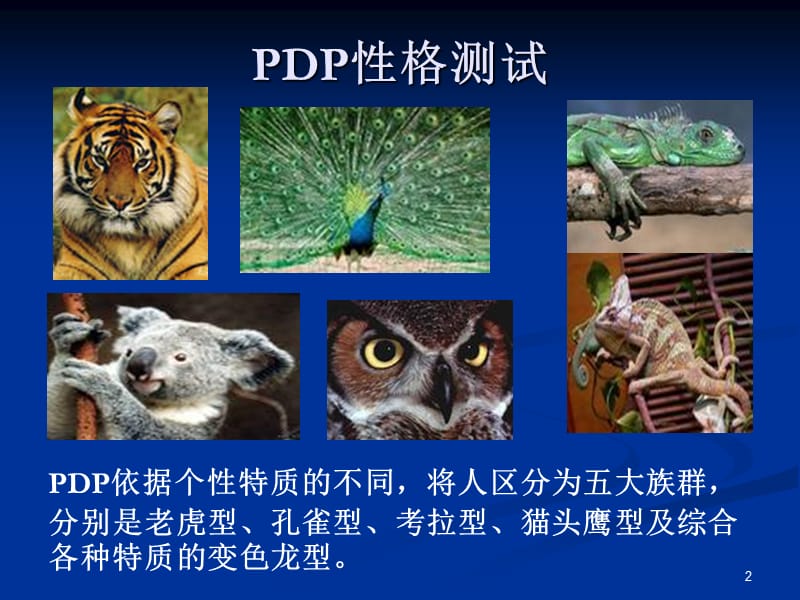 PDP个人职业性格测试.ppt_第2页