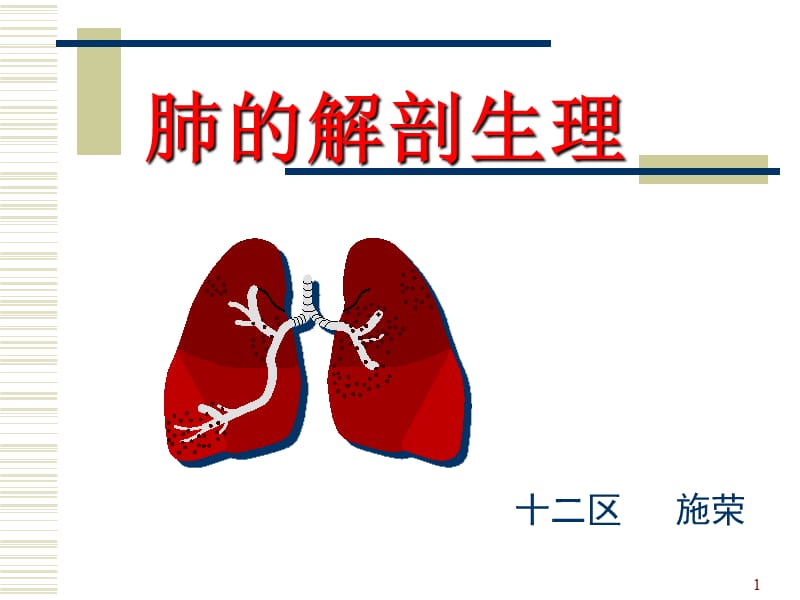 《肺的解剖和生理》PPT课件.ppt_第1页