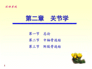 《解剖學(xué)關(guān)節(jié)學(xué)》PPT課件.ppt