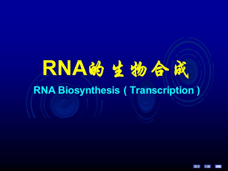 《RNA的生物合成》PPT课件.ppt_第1页