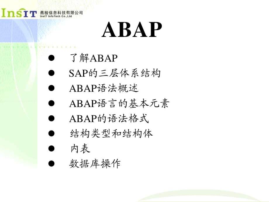 SAP的三层体系结构.ppt_第1页