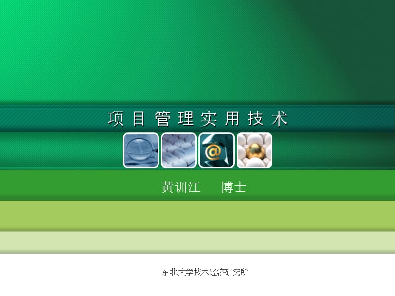 項目管理實用技術(shù).ppt_第1頁