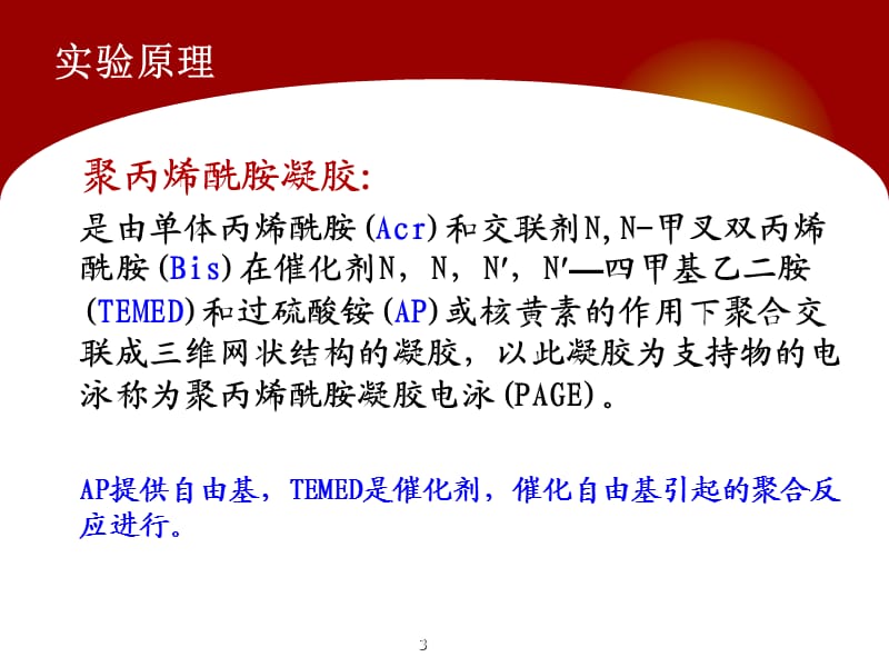 聚丙烯酰胺凝胶电泳分离大肠杆菌全蛋白ppt课件_第3页