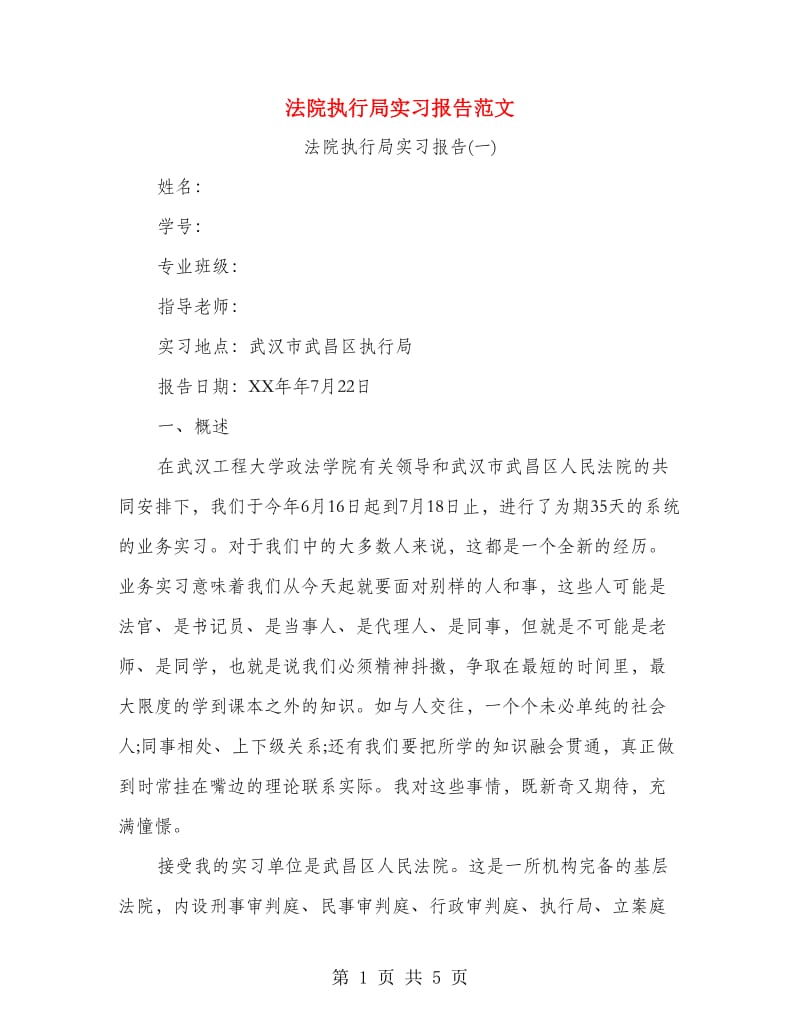 法院执行局实习报告范文.doc_第1页