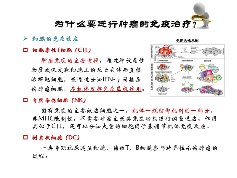 肿瘤免疫细胞治疗临床应用流程ppt课件_第2页