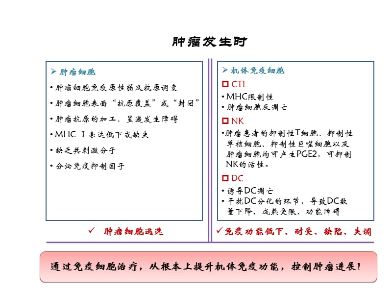 肿瘤免疫细胞治疗临床应用流程ppt课件_第3页