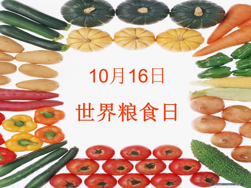 世界糧食日主題班會.ppt_第1頁