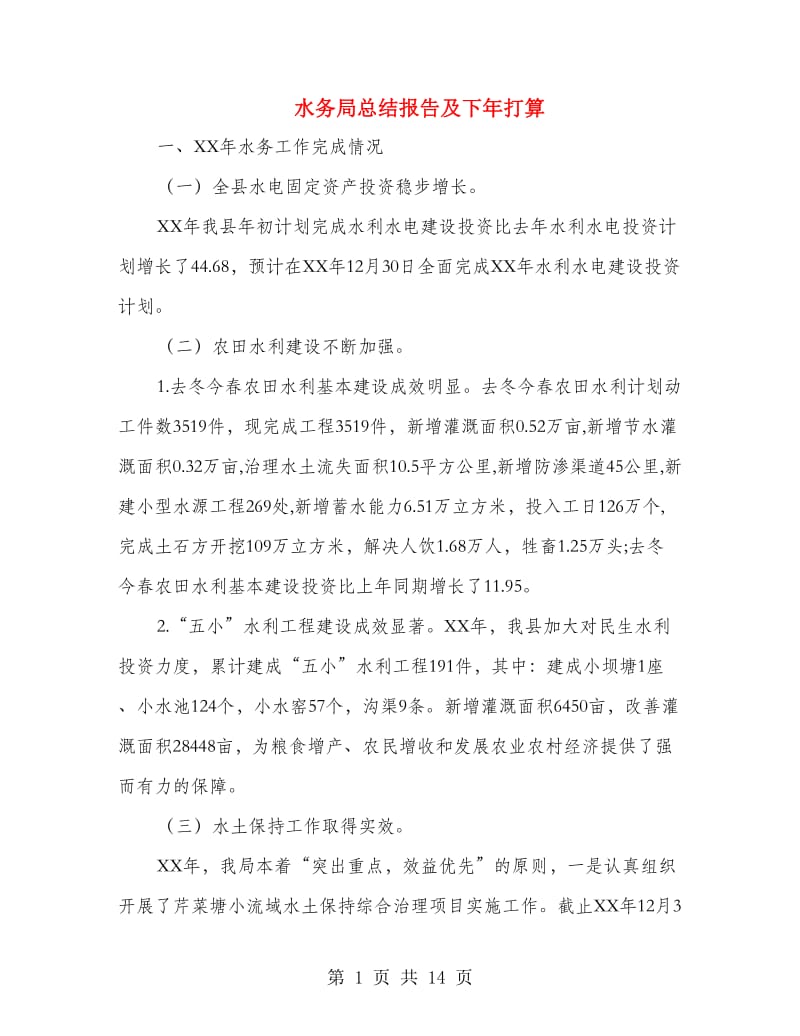 水务局总结报告及下年打算.doc_第1页