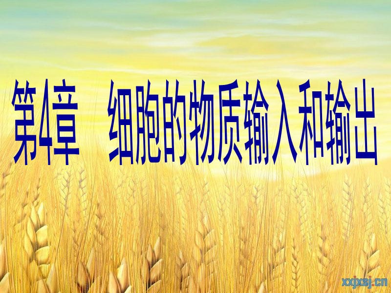 物质跨膜运输的实例课件(含动画).ppt_第1页