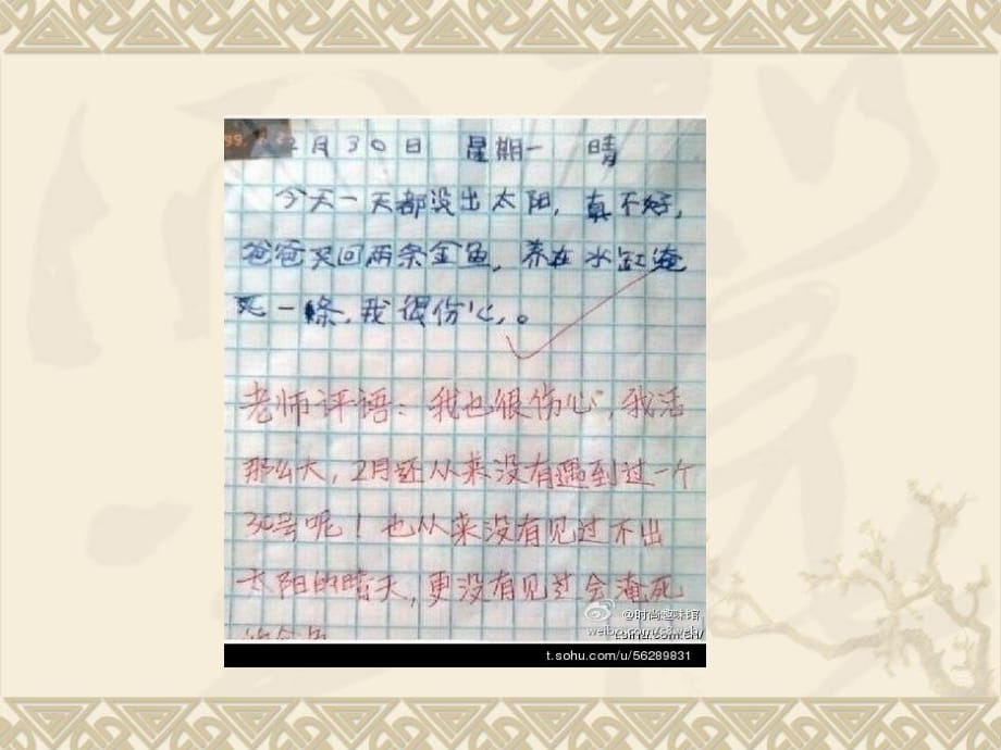 小學(xué)作文點(diǎn)面結(jié)合寫作文.ppt_第1頁