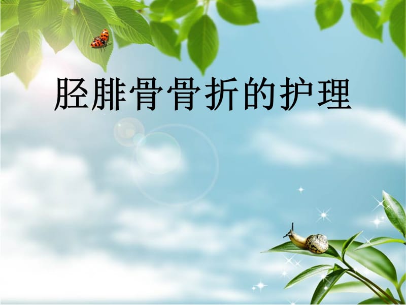 胫腓骨骨折护理要点.ppt_第1页