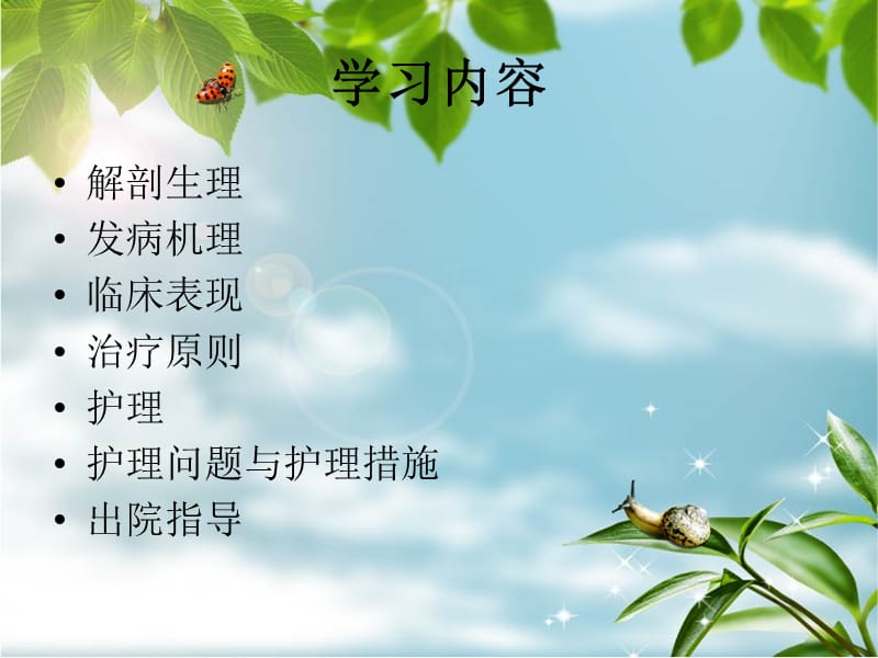 胫腓骨骨折护理要点.ppt_第2页