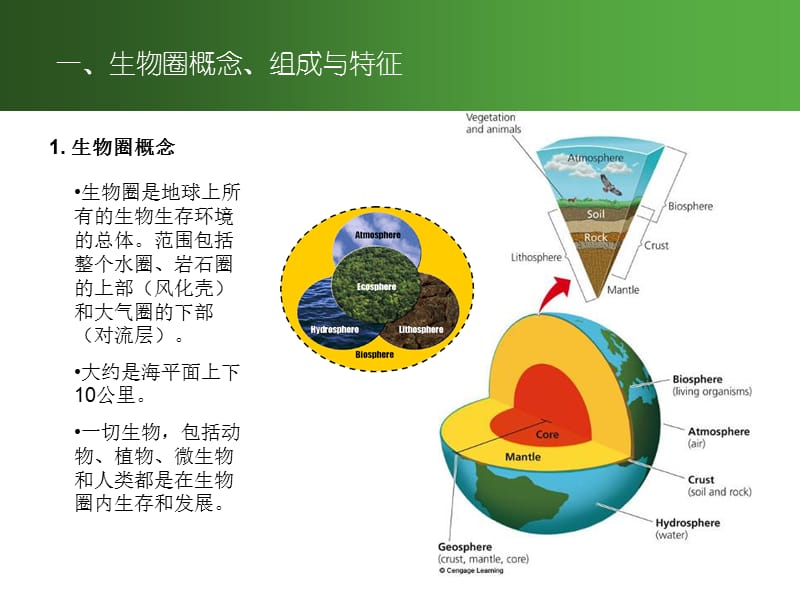 生物圈与生态服务功能.ppt_第2页