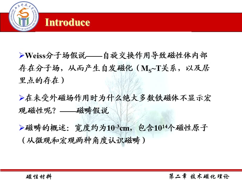 磁性材料第6章技术磁化理论-磁性材料.ppt_第2页