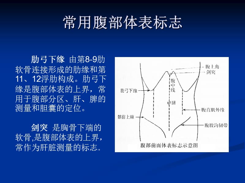 腹部体格检查详解.ppt_第3页