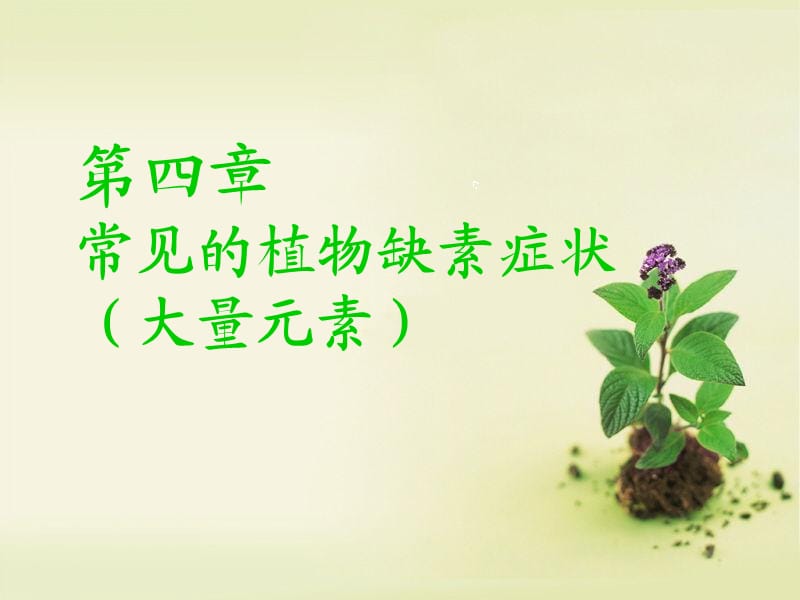 植物大量元素缺素症状.ppt_第1页