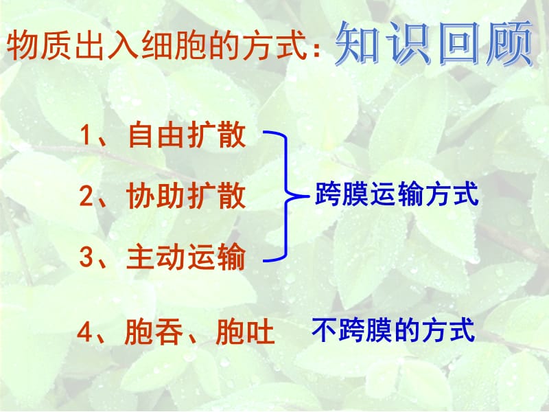 物质跨膜运输的方式和影响因素.ppt_第1页