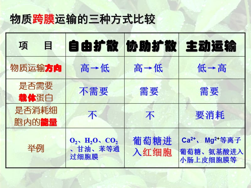 物质跨膜运输的方式和影响因素.ppt_第2页