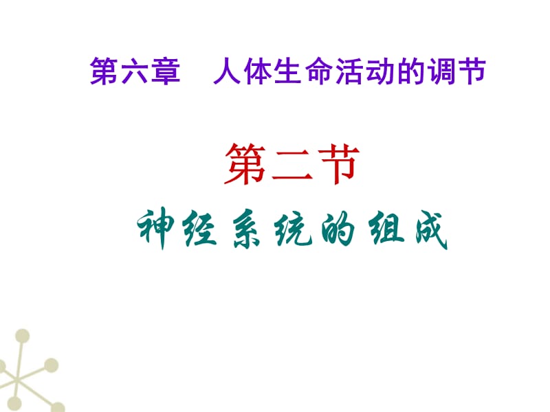 神经系统的组成ppt.ppt_第2页