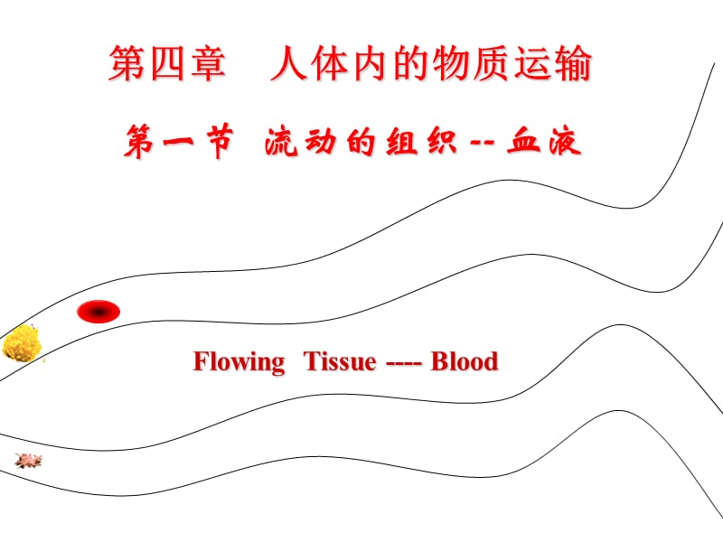 《流動的組織──血液》PPT課件.ppt_第1頁