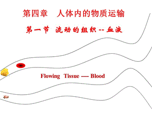 《流動(dòng)的組織──血液》PPT課件.ppt