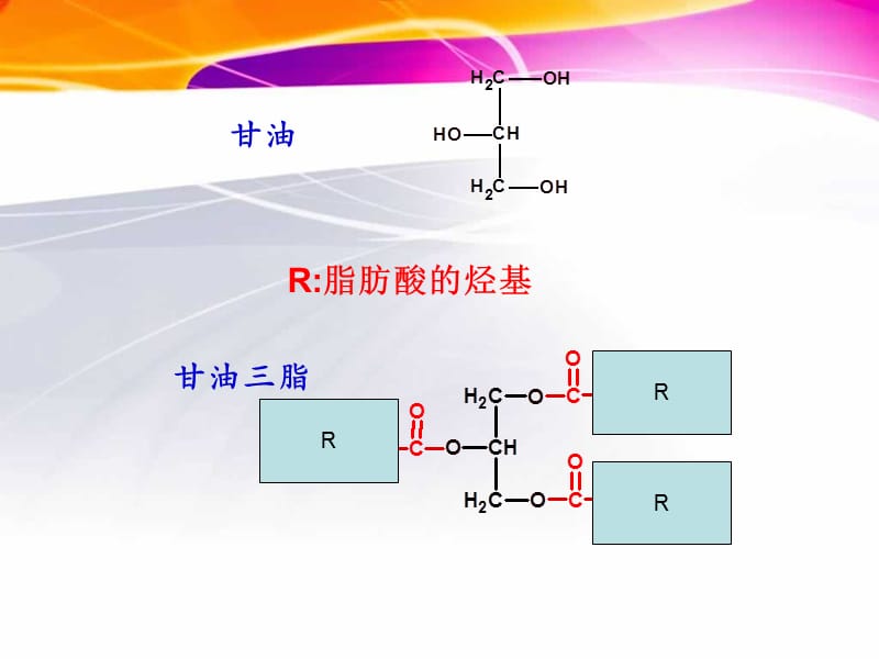 脂肪的分解代谢与合成代谢.ppt_第3页