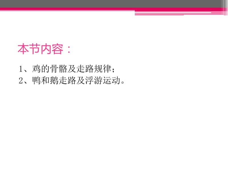 禽类动物运动动画绘制.ppt_第2页