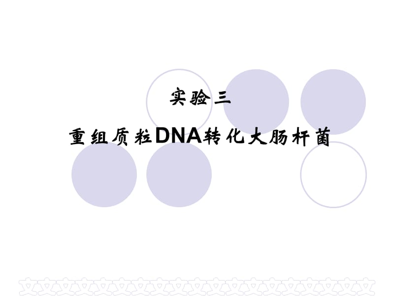 实验三重组质粒DNA转化大肠杆菌.ppt_第1页