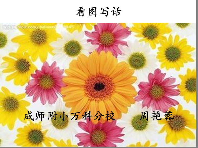 绘本故事ppt-彩虹色的花.ppt_第1页