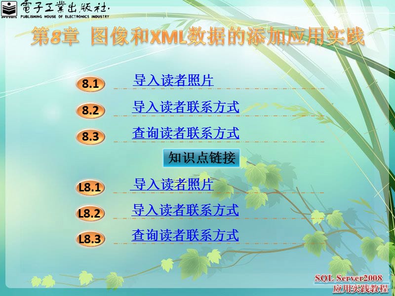 《圖像和XML數(shù)據(jù)的》PPT課件.ppt_第1頁