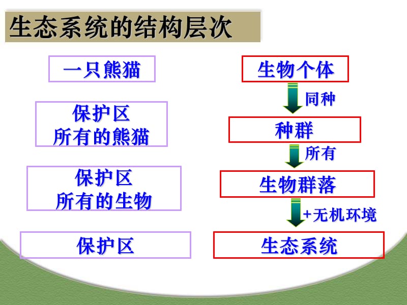 生态系统的结构-上课版.ppt_第2页