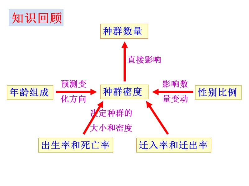 种群数量的变化课件.ppt_第1页