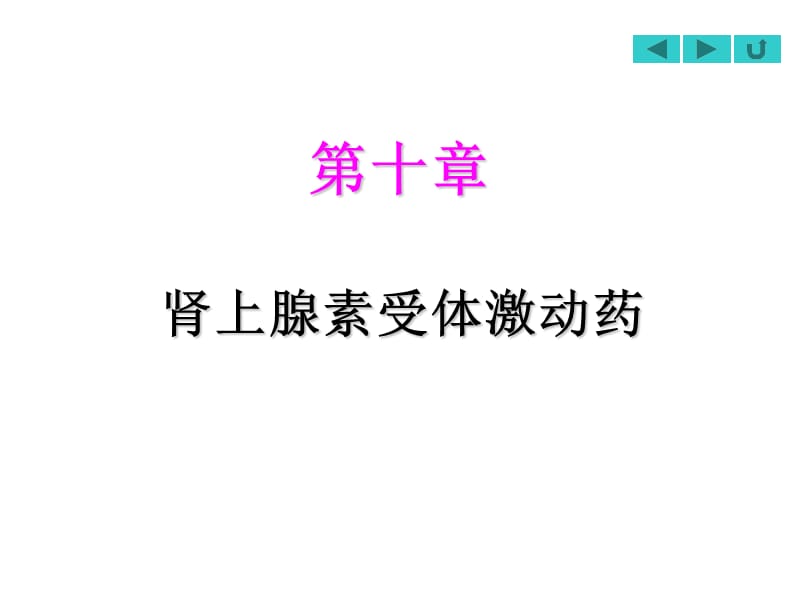 肾上腺素受体激动药.ppt_第1页