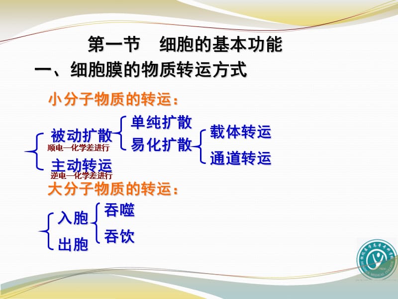 细胞膜的物质转运功能.ppt_第3页