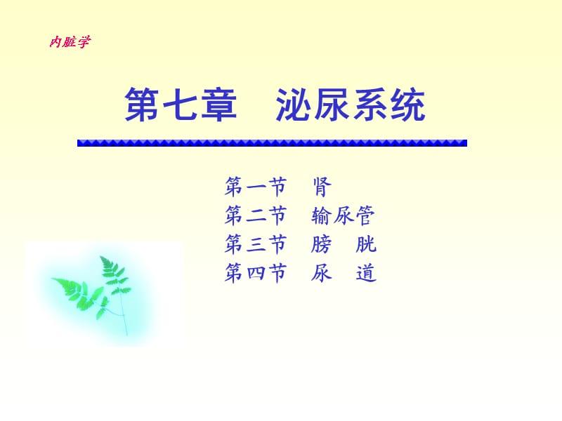 泌尿系统的结构与功能.ppt_第1页