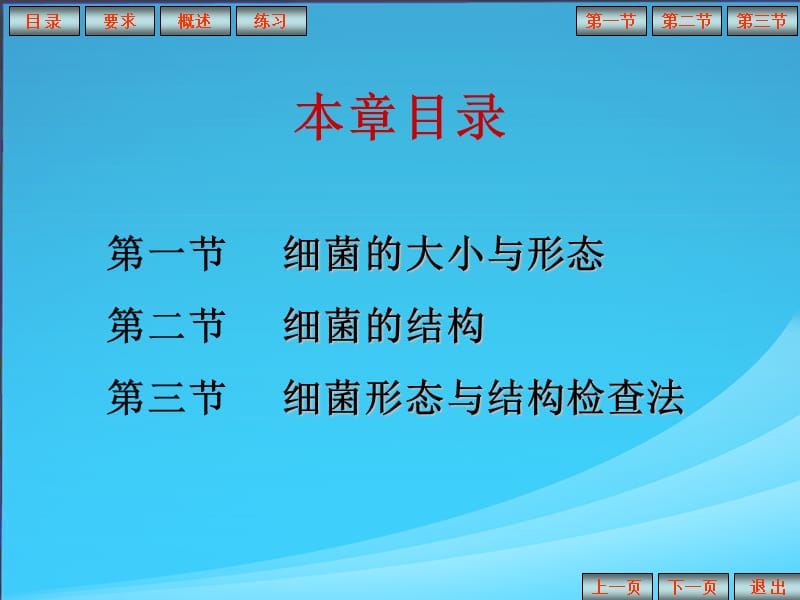 细菌的形态与结构.ppt_第2页