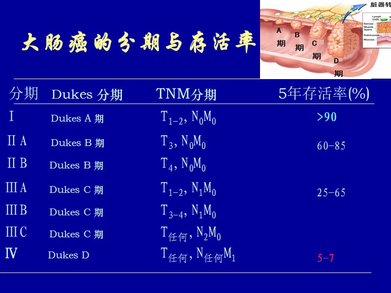 肠镜检查注意事项(课件).ppt_第3页