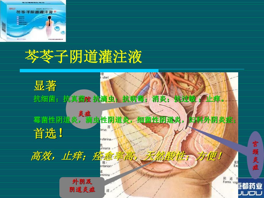 “芩苓子阴道灌注液”基本篇.ppt_第1页