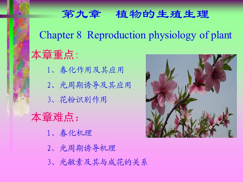 《植物生殖生理》PPT課件.ppt_第1頁