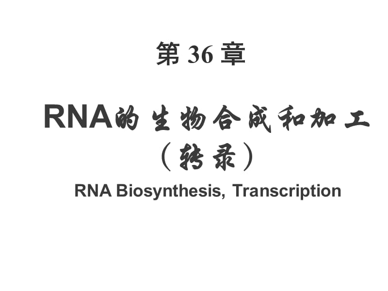 生物化学-RNA的生物合成和加工.ppt_第1页