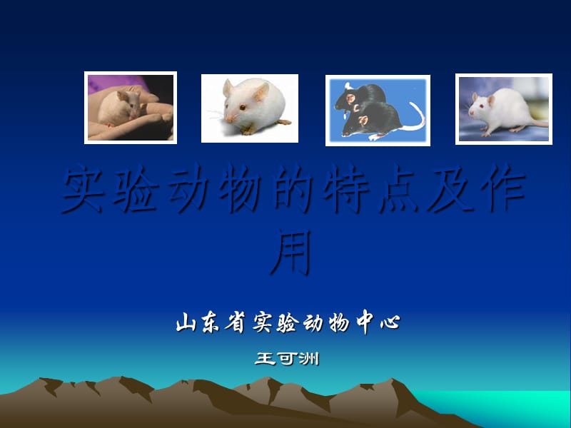 《实验动物的特点》PPT课件.ppt_第1页