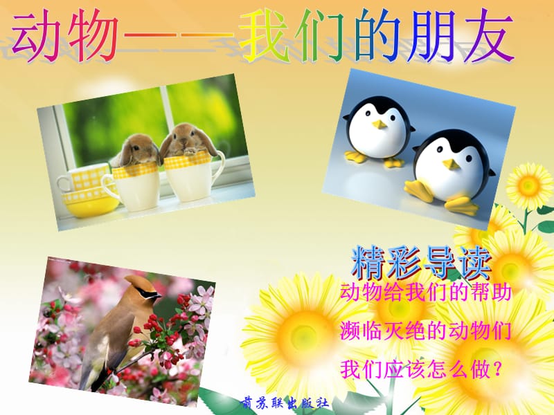 《动物我们的朋友》PPT课件.ppt_第1页