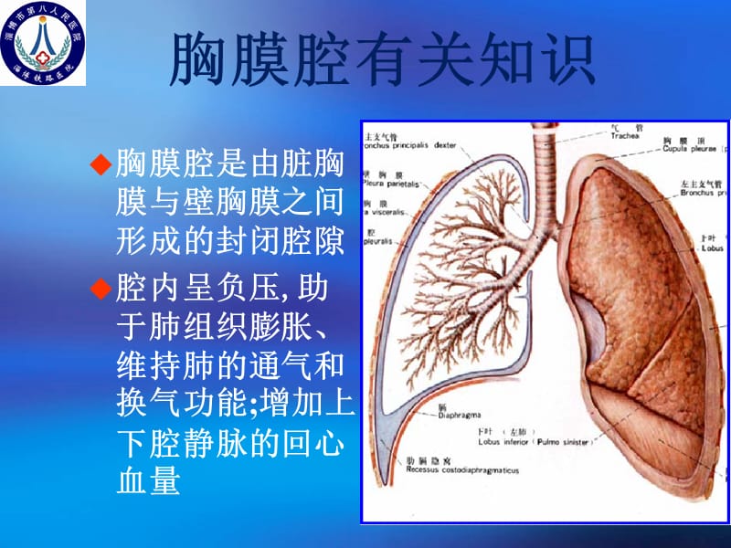 胸腔闭式引流术课件.ppt_第3页