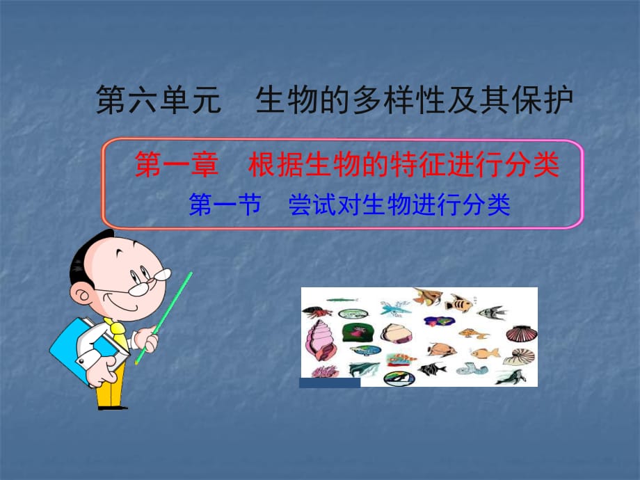 《嘗試對生物進行分類》.ppt_第1頁