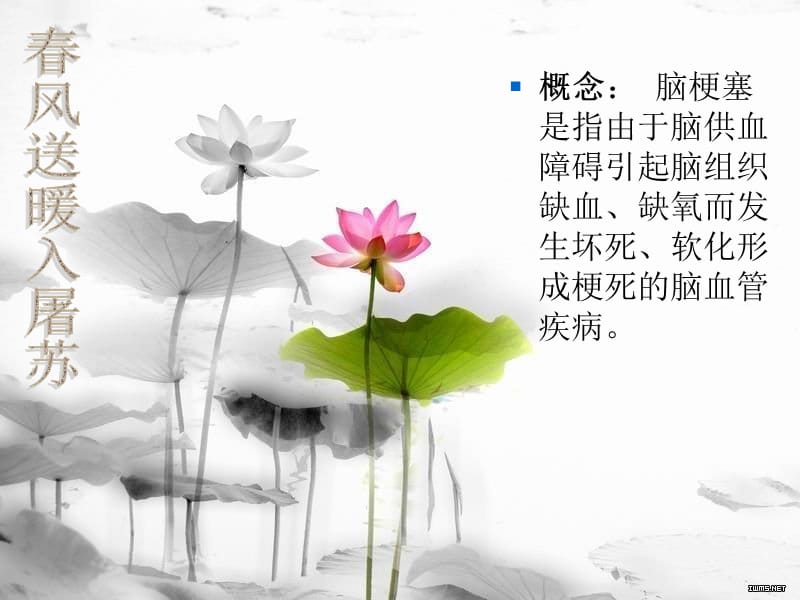 脑梗塞的健康教育.ppt_第3页