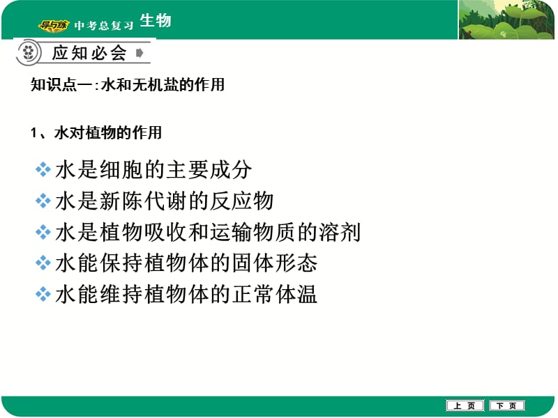 绿色植物的生活需要无机盐.ppt_第2页