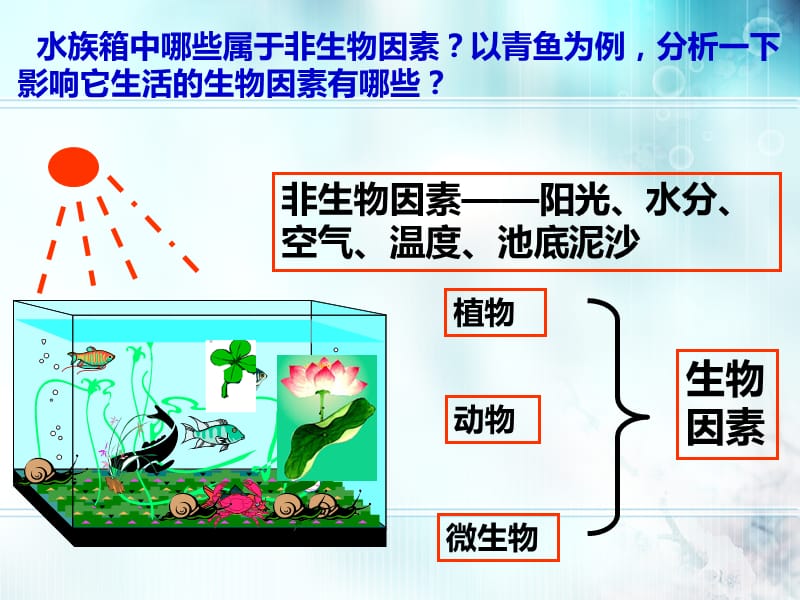 生态系统的组成和类型.ppt_第2页