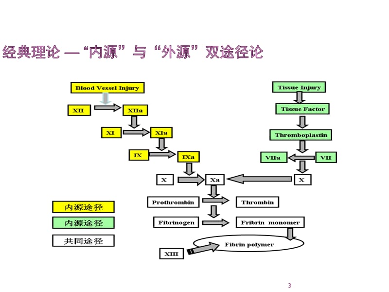 重症病人的凝血紊乱ppt课件_第3页