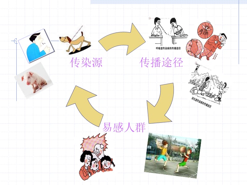 秋季常见传染病预防课件.ppt_第3页