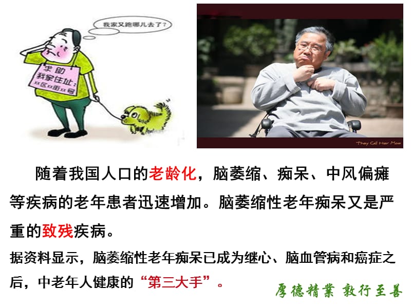 老年痴呆症病人的居家照护.ppt_第2页